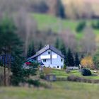 Kleines Haus am Wald