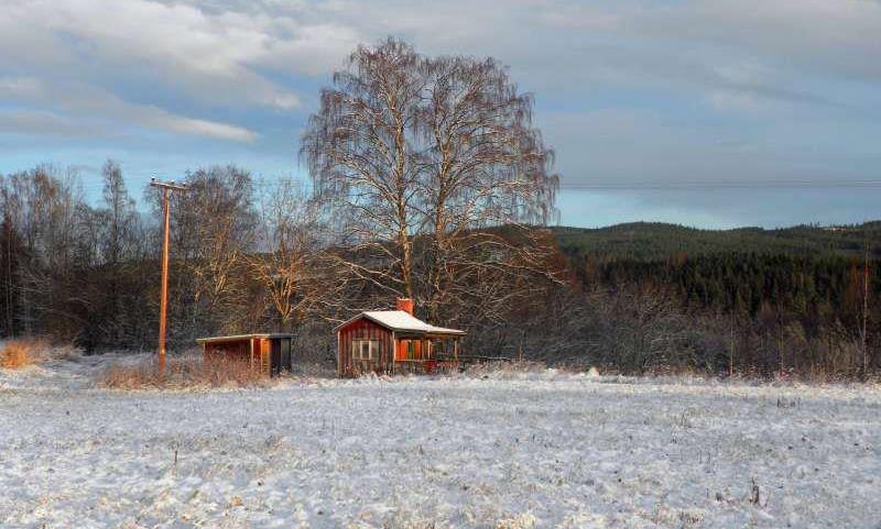 kleines Haus am Wald