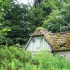 Kleines Haus am Wald wird renaturiert