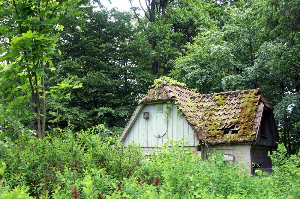 Kleines Haus Am Wald Wird Renaturiert Foto Bild Landschaft Ruckkehr Der Natur Landschaften Bilder Auf Fotocommunity