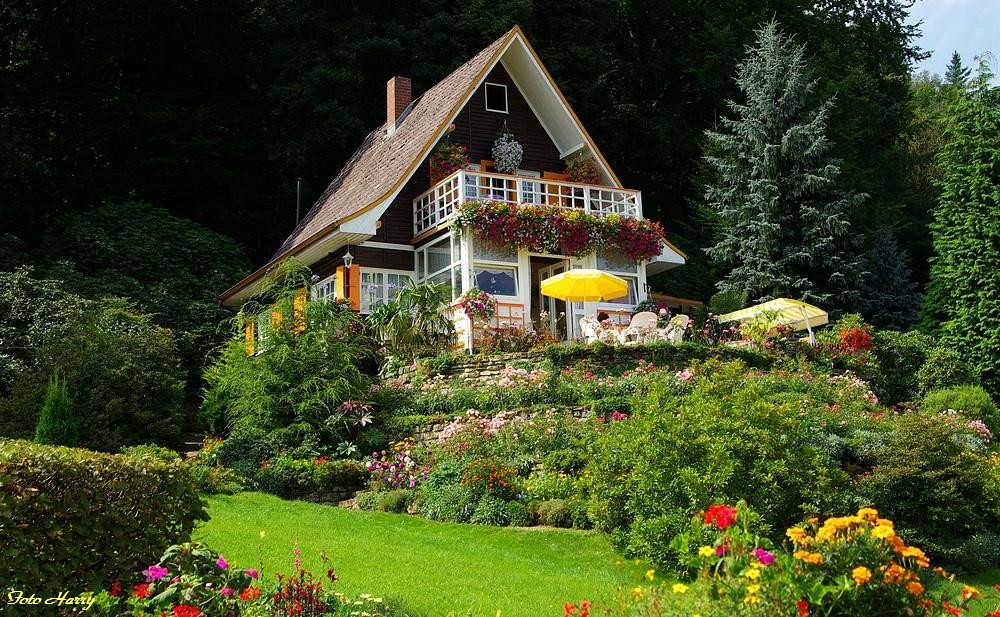 Kleines Haus am Wald frei nach Herbert Roth gesehen Kleines Haus am Wald frei nach Herbert Roth gesehen