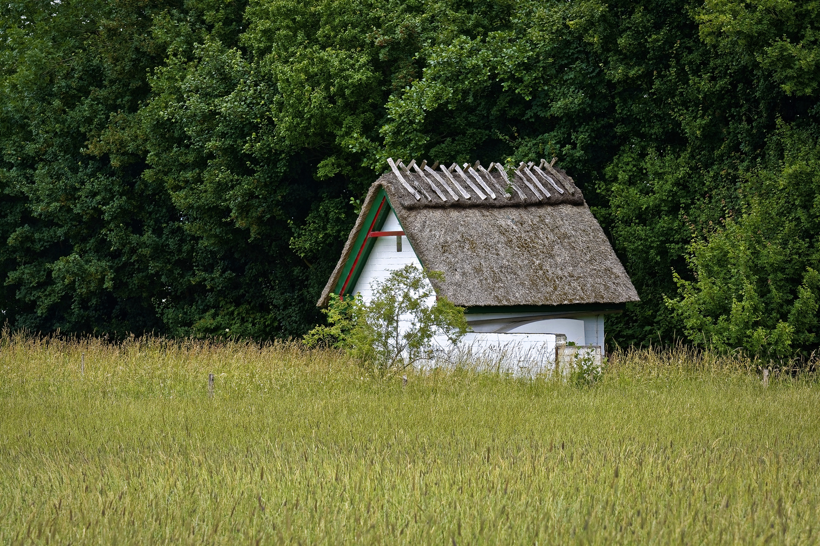 Kleines Haus auf Holnis