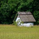 Kleines Haus auf Holnis