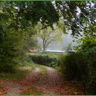 Kleines Haus im Nebel