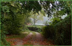 Kleines Haus im Nebel