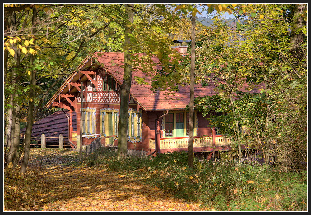 kleines haus im wald