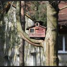 ...Kleines Haus im Wald...