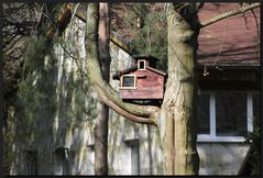 ...Kleines Haus im Wald...