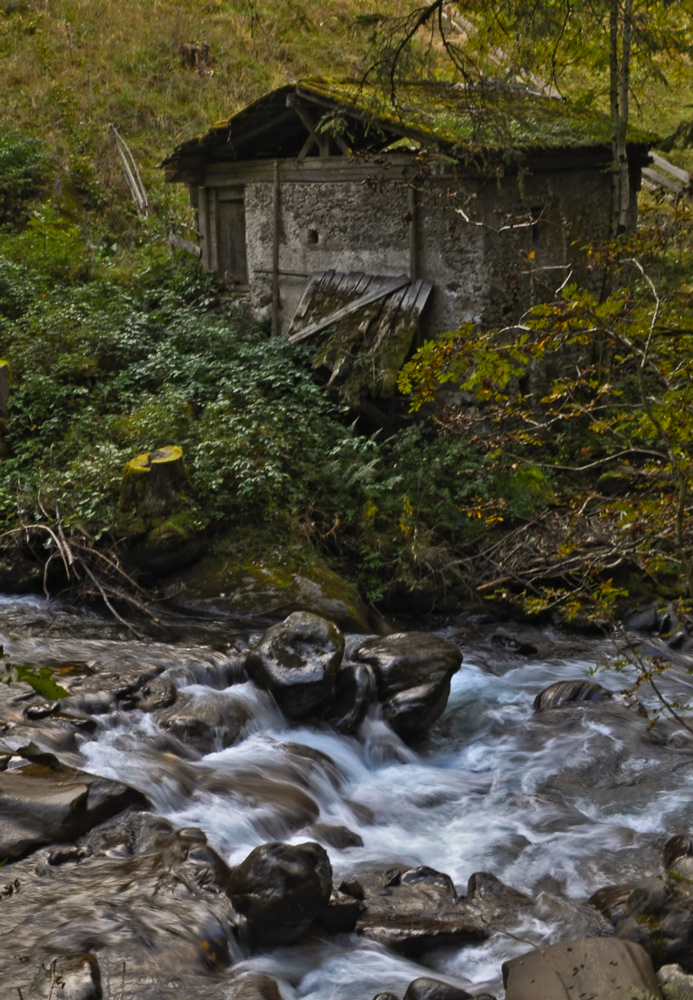 kleines Haus im Wald