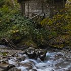 kleines Haus im Wald