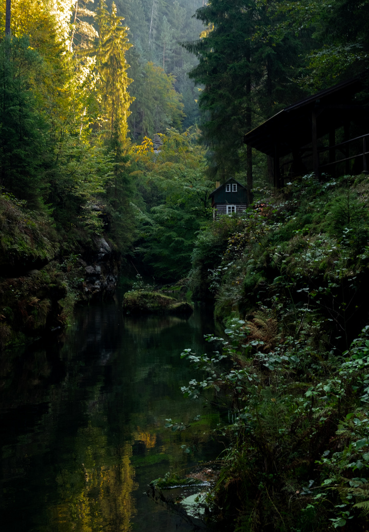 kleines Haus im Wald..