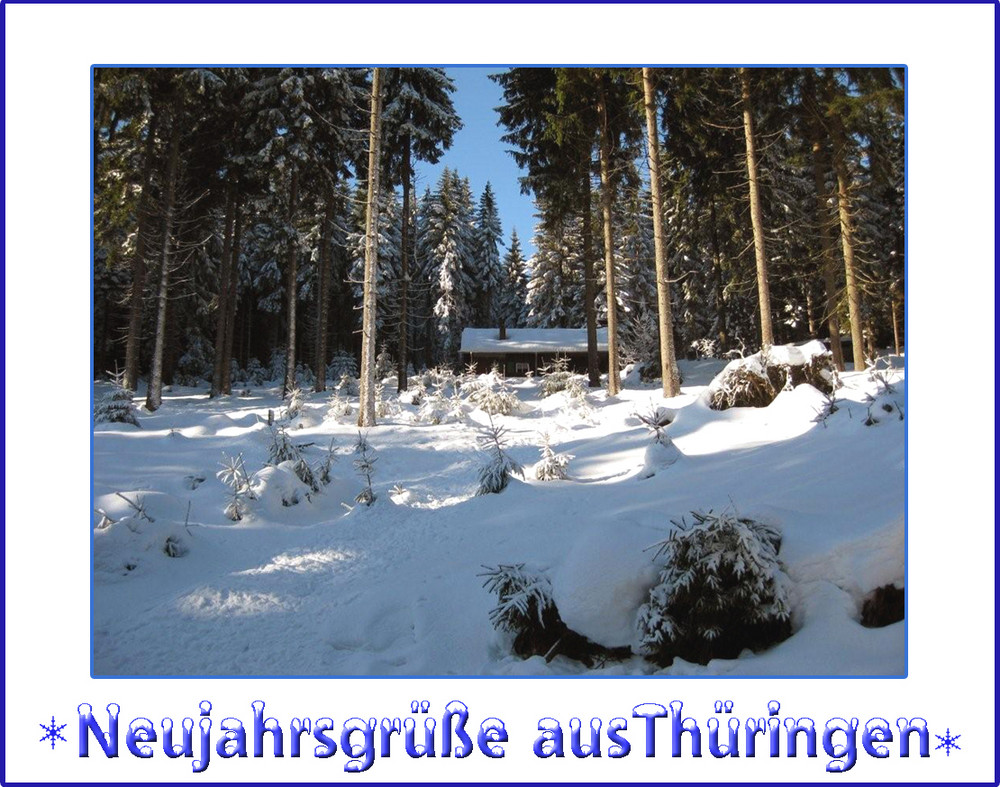 Kleines Haus im Wald ...