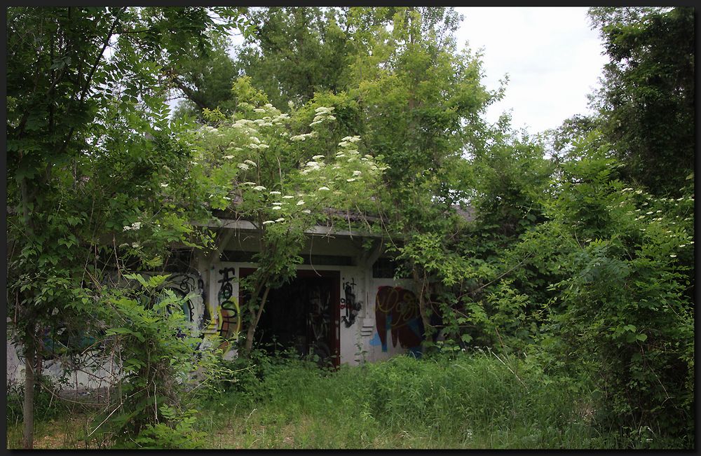 ...Kleines Haus im Wald...