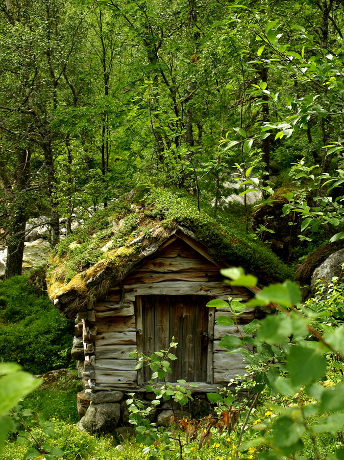 Kleines Haus im Wald Foto & Bild | landschaft, rückkehr ...