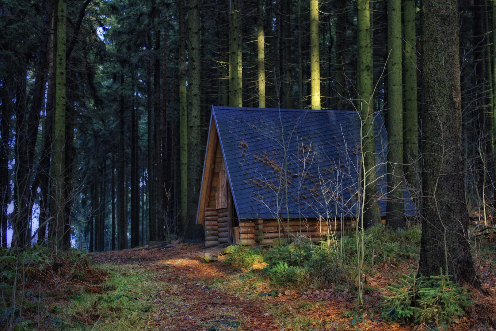 kleines haus im wald