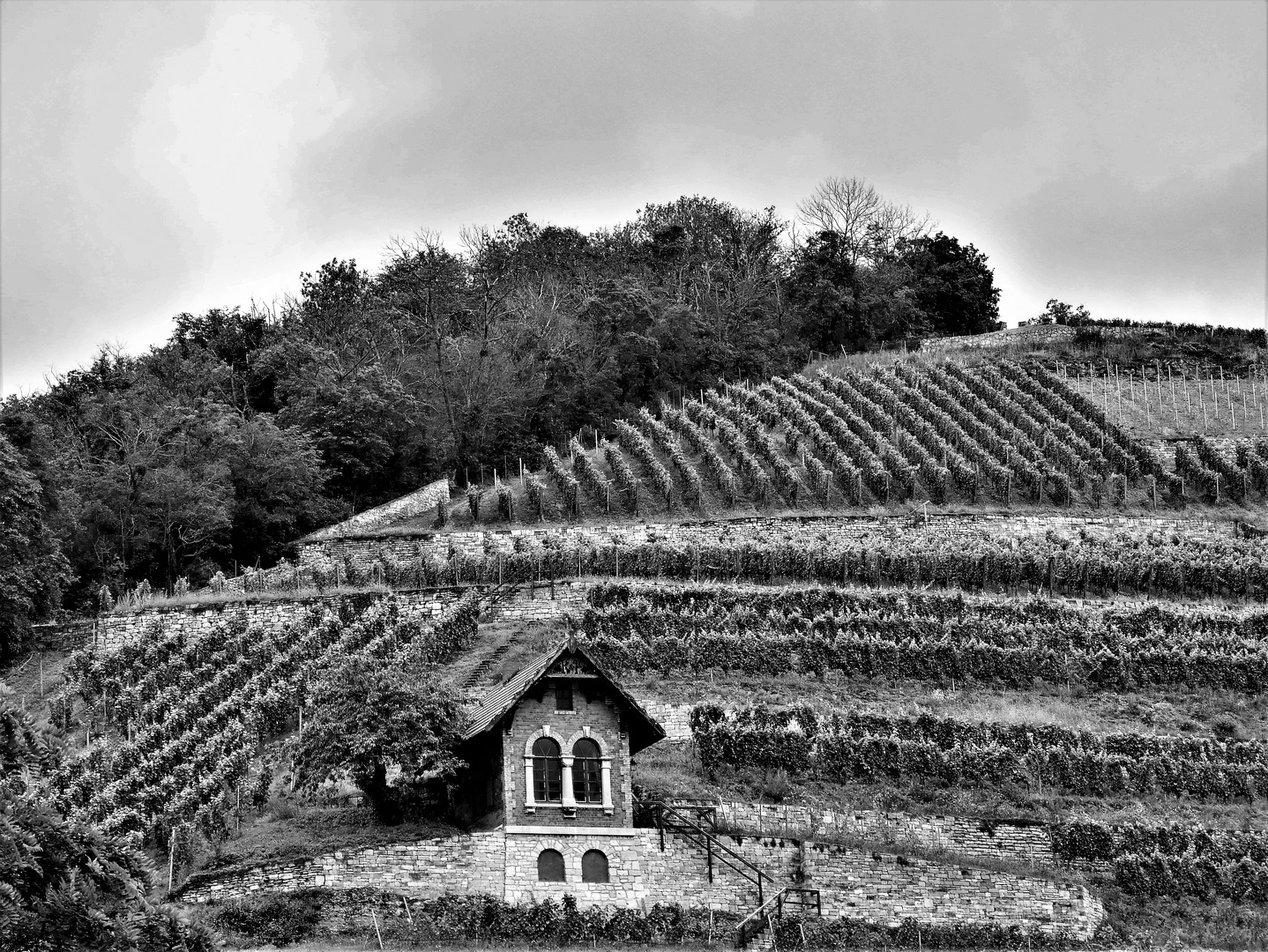 Kleines Haus in den Weinbergen