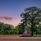 Kleines Haus unterm großen Baum