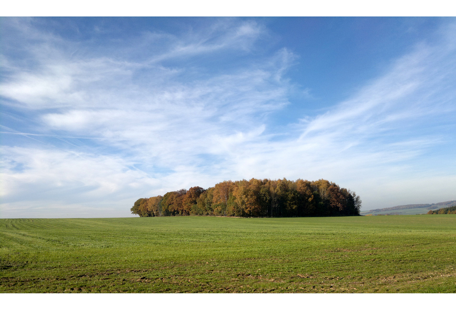 Kleines herbstliches Wäldchen