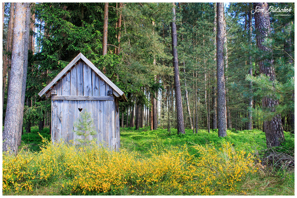 Kleines Hexenhaus im Wald