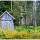 Kleines Hexenhaus im Wald