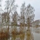 Kleines Hochwasser