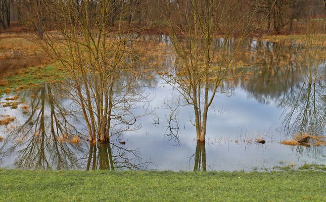 Kleines Hochwasser (2)