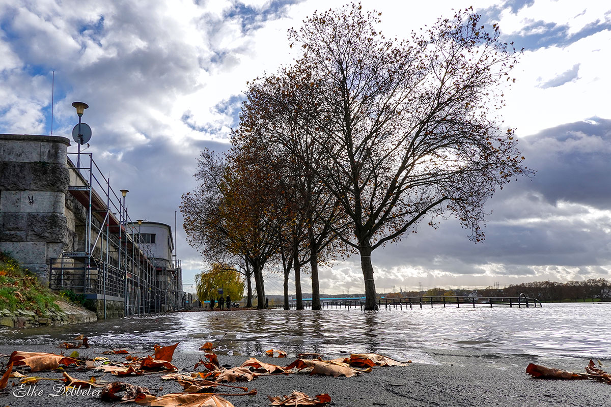 Kleines Hochwasser in Neuwied im herbstlichen November