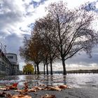 Kleines Hochwasser in Neuwied im herbstlichen November