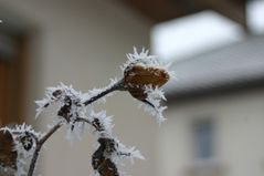 kleines Kunstwerk von Väterchen Frost am WE