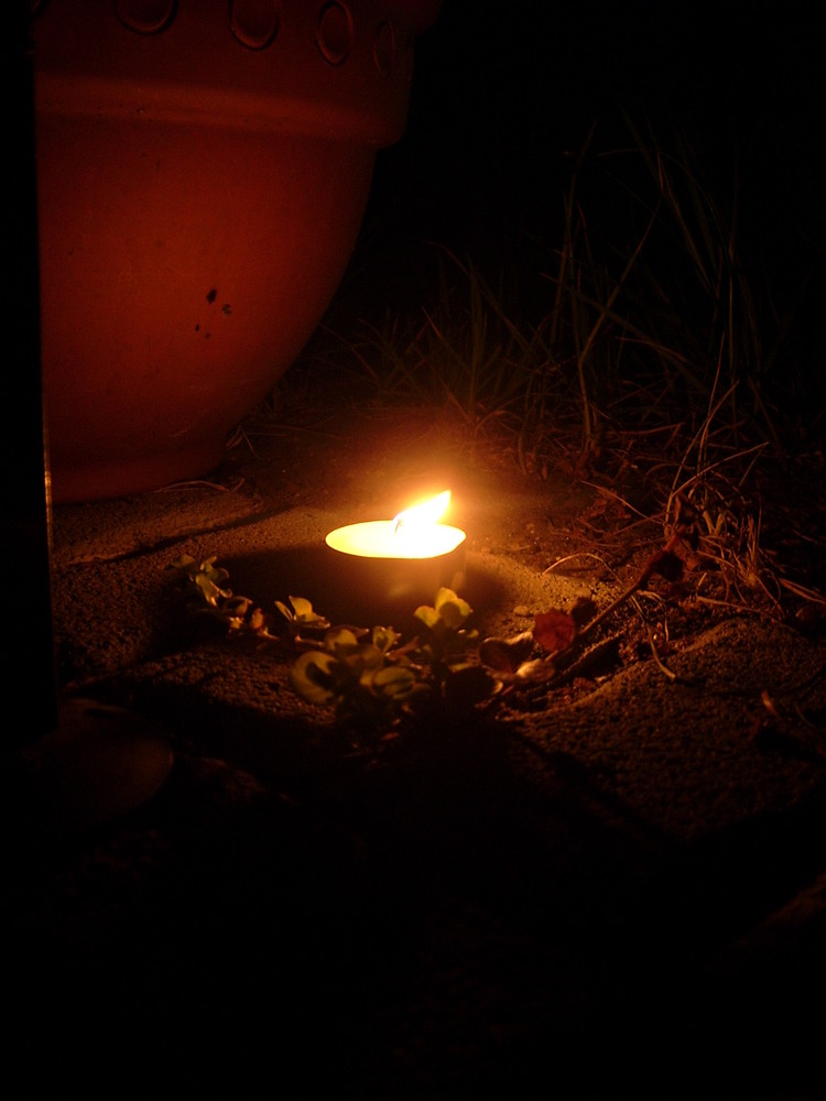 Kleines Lichtelein im Garten fein