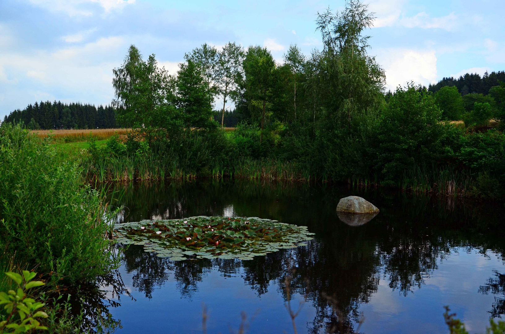 kleines Naturjuwel