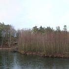 Kleines Panorama am See im Liether Wald