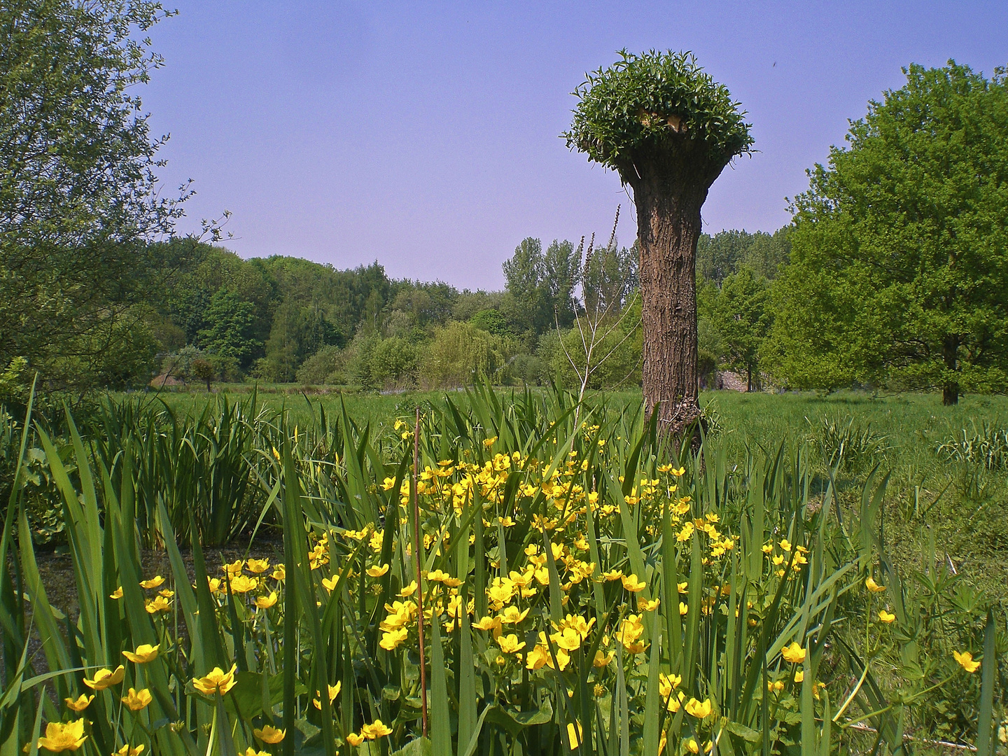 Kleines Paradies