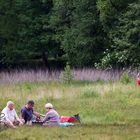 kleines Piknik im Grünen?