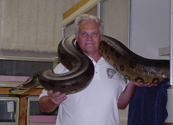 Kleines Scheisserchen