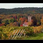 Kleines Schloss in den Weinbergen im Elsass bei Wissembourg