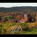 Kleines Schloss in den Weinbergen im Elsass bei Wissembourg