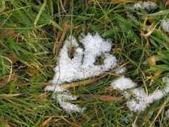 Kleines Schneegespenst mit Hand und Fuß