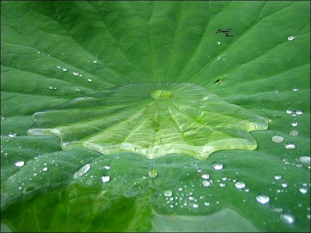 kleines Schwimmbad ;)