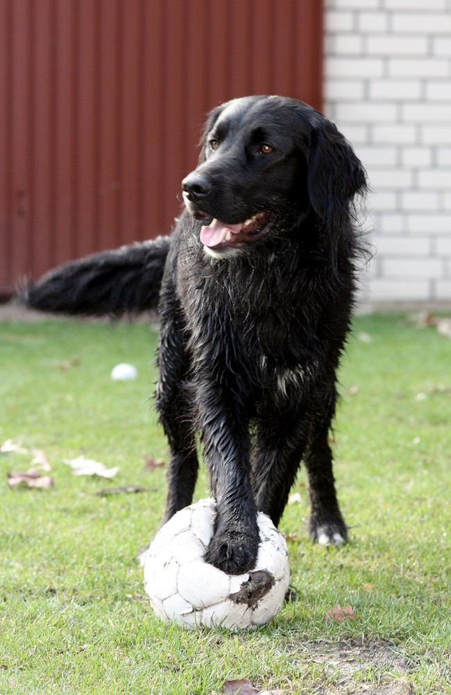 Kleines Spielchen?