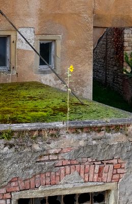 Kleines, starkes Mädchen!