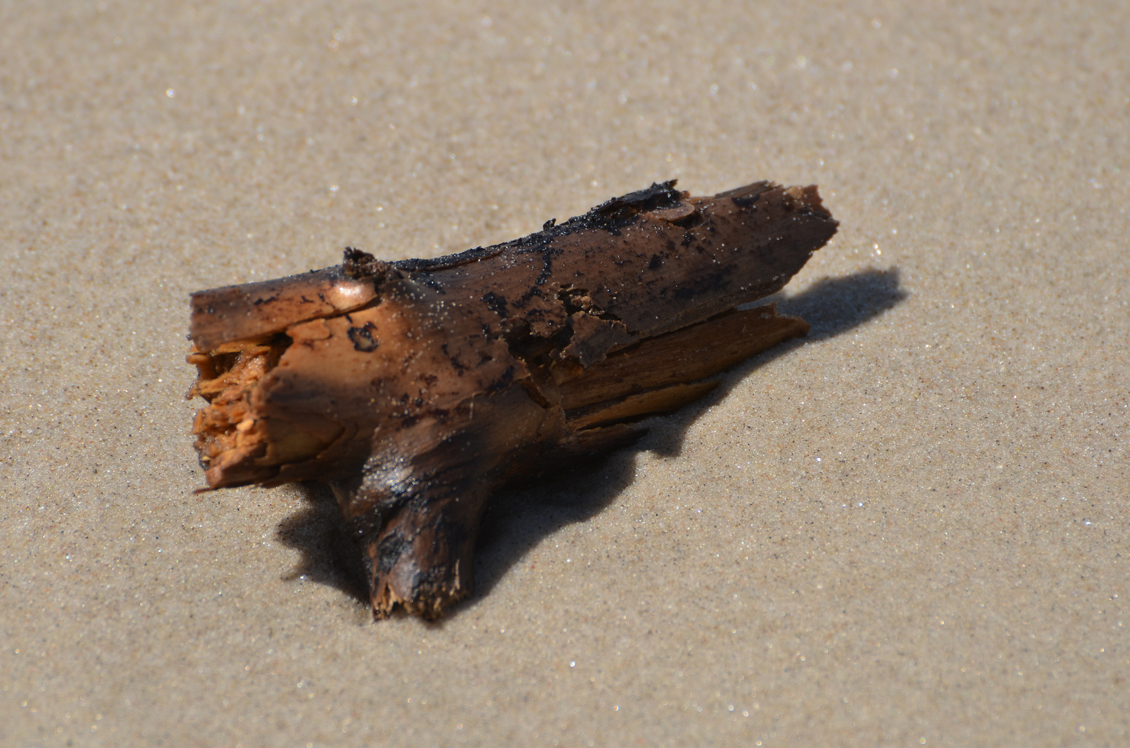 Kleines Strandgut