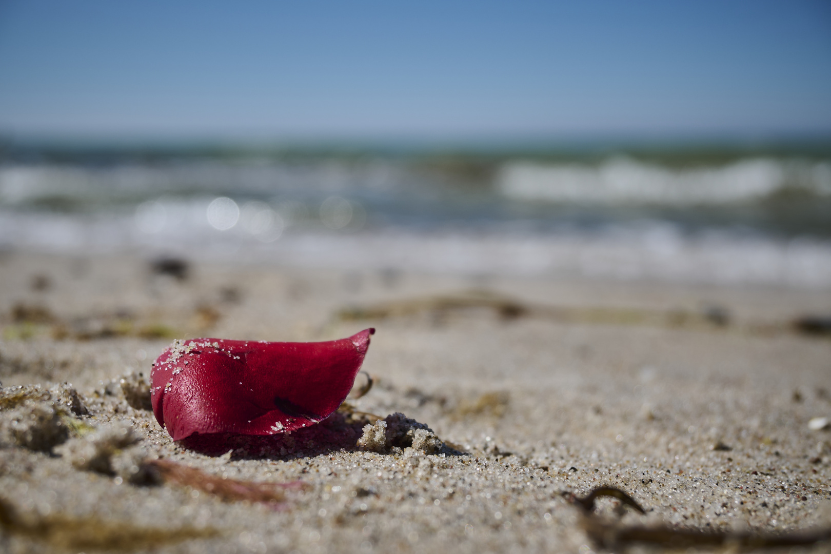 Kleines Strandgut