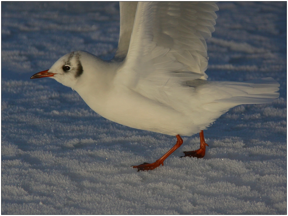 ... kleines Stretching ...