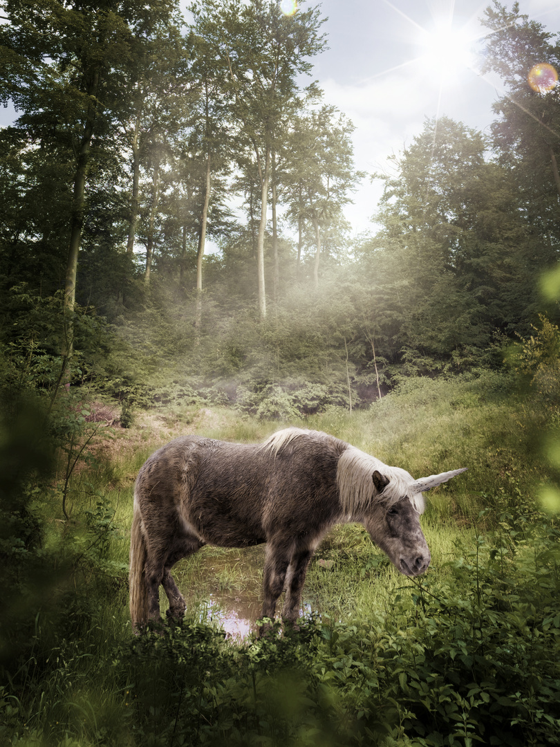 Kleines trauriges Einhorn