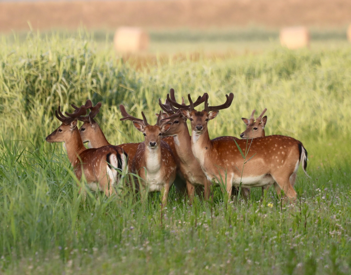 Kleines Treffen…