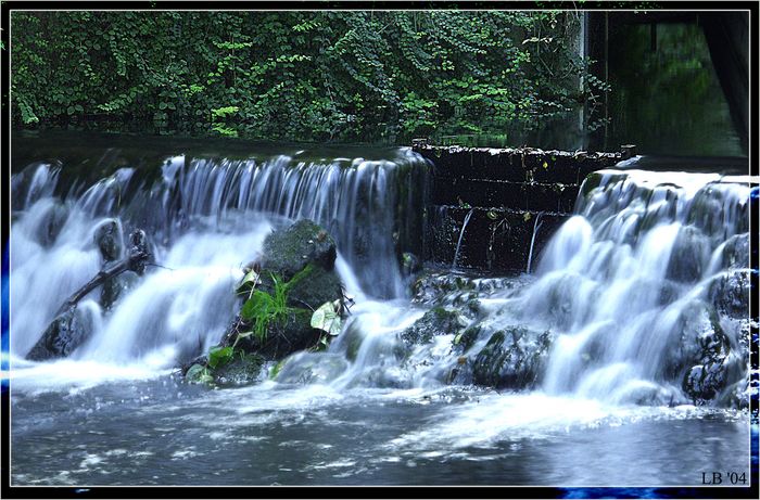 kleines Wasser - ganz groß