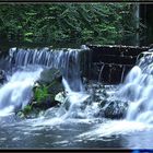 kleines Wasser - ganz groß