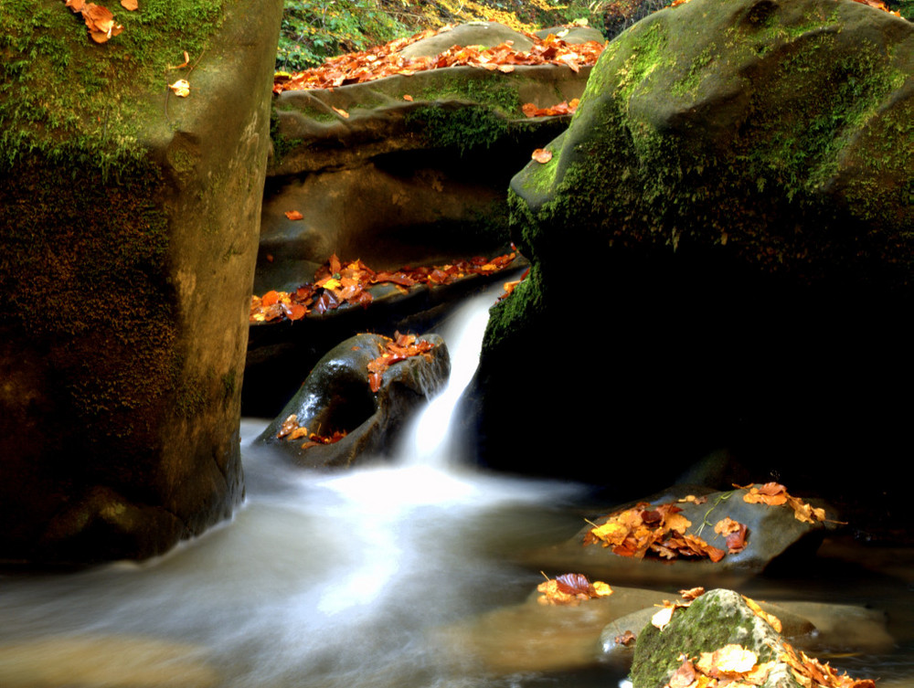 Kleines Wasser ganz groß