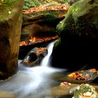 Kleines Wasser ganz groß